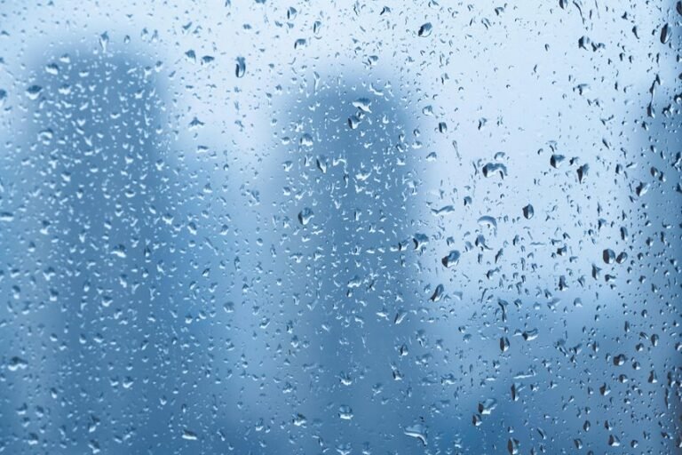 competitive digital outlook forecast